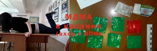 индика Алексин