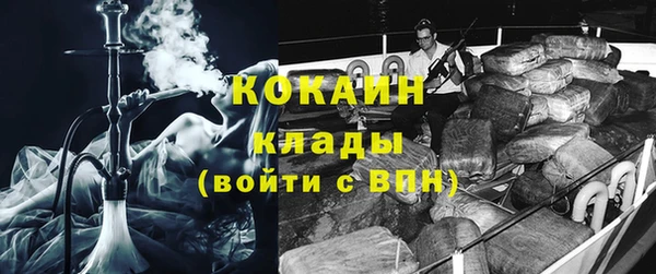 индика Алексин