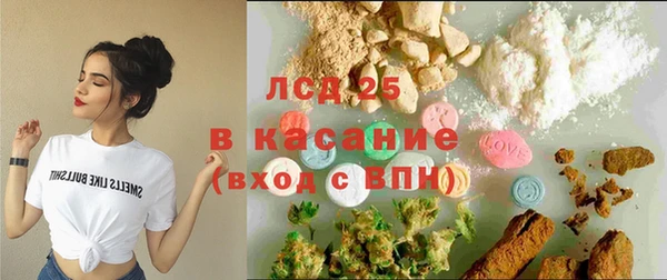 индика Алексин