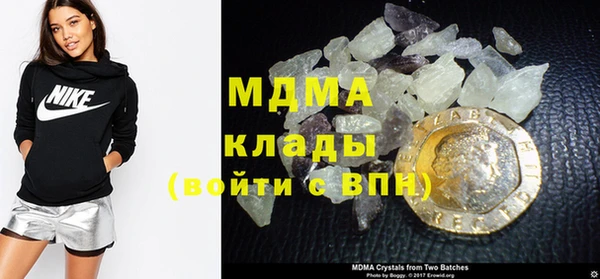 индика Алексин