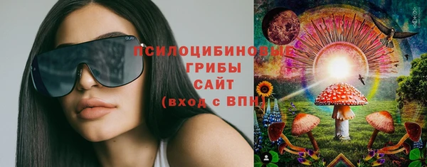 apvp Алексеевка