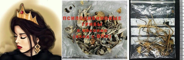 COCAINE Алзамай