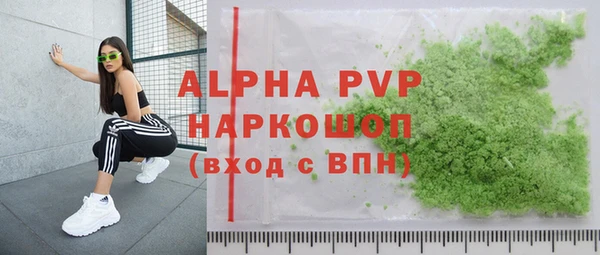 индика Алексин