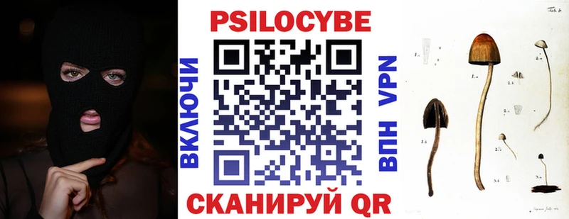shop телеграм  Аткарск  Псилоцибиновые грибы Psilocybe 